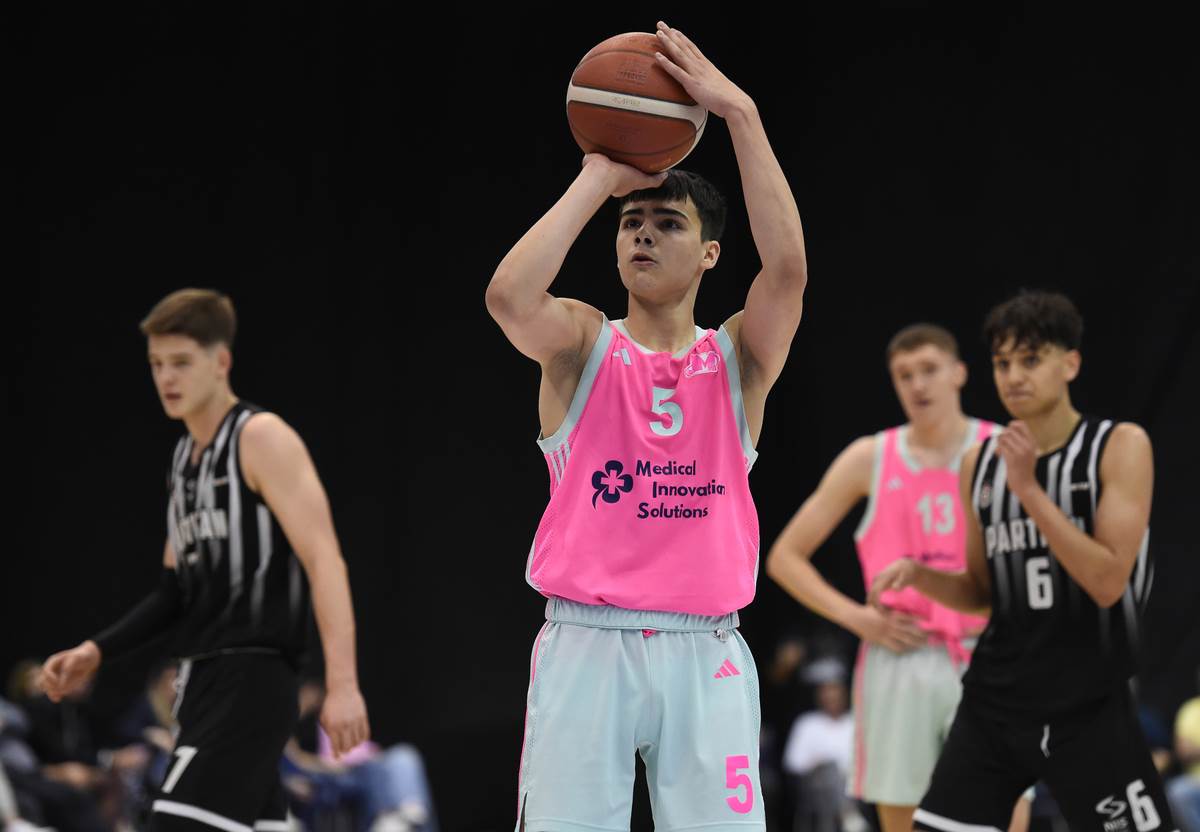 Vuk Danilović, košarkaš Mege