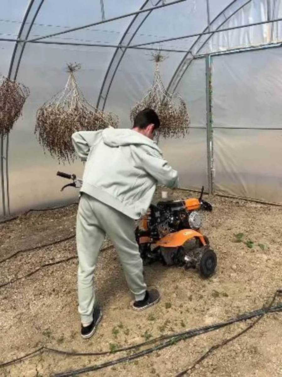 Branko Babić sestrić