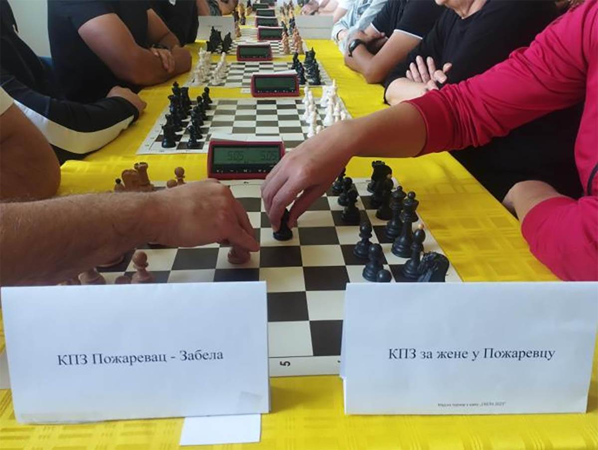 Šahovski turnir u Padinskoj skeli   (5).jpg