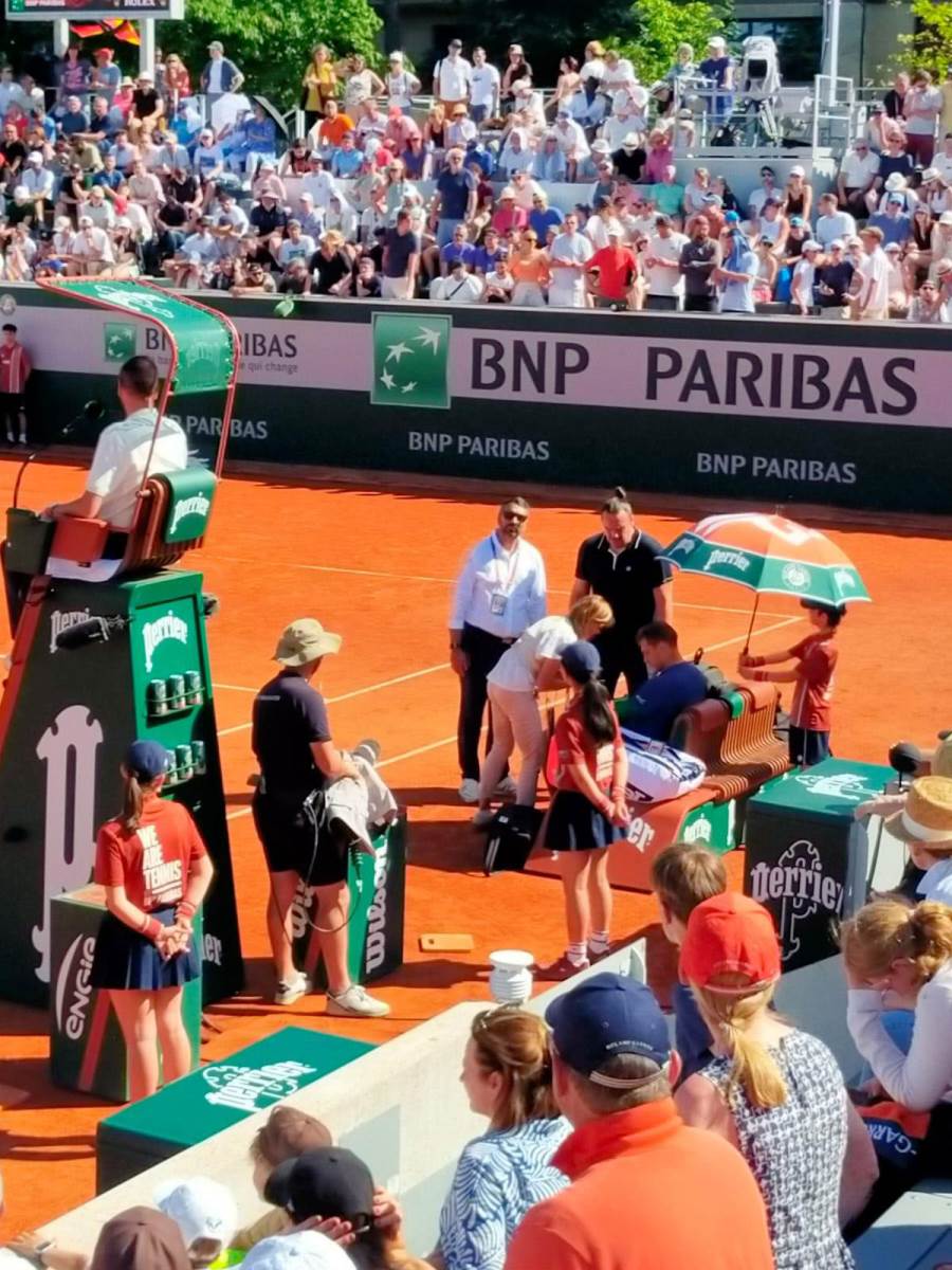 Hamadu Medjedoviću pozlilo na Rolan Garosu (3).jpg