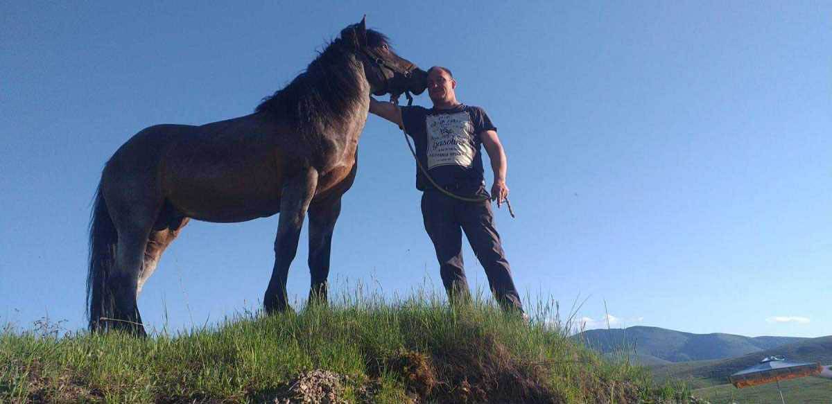 ubistvo konja na zlatiboru (4).jpg