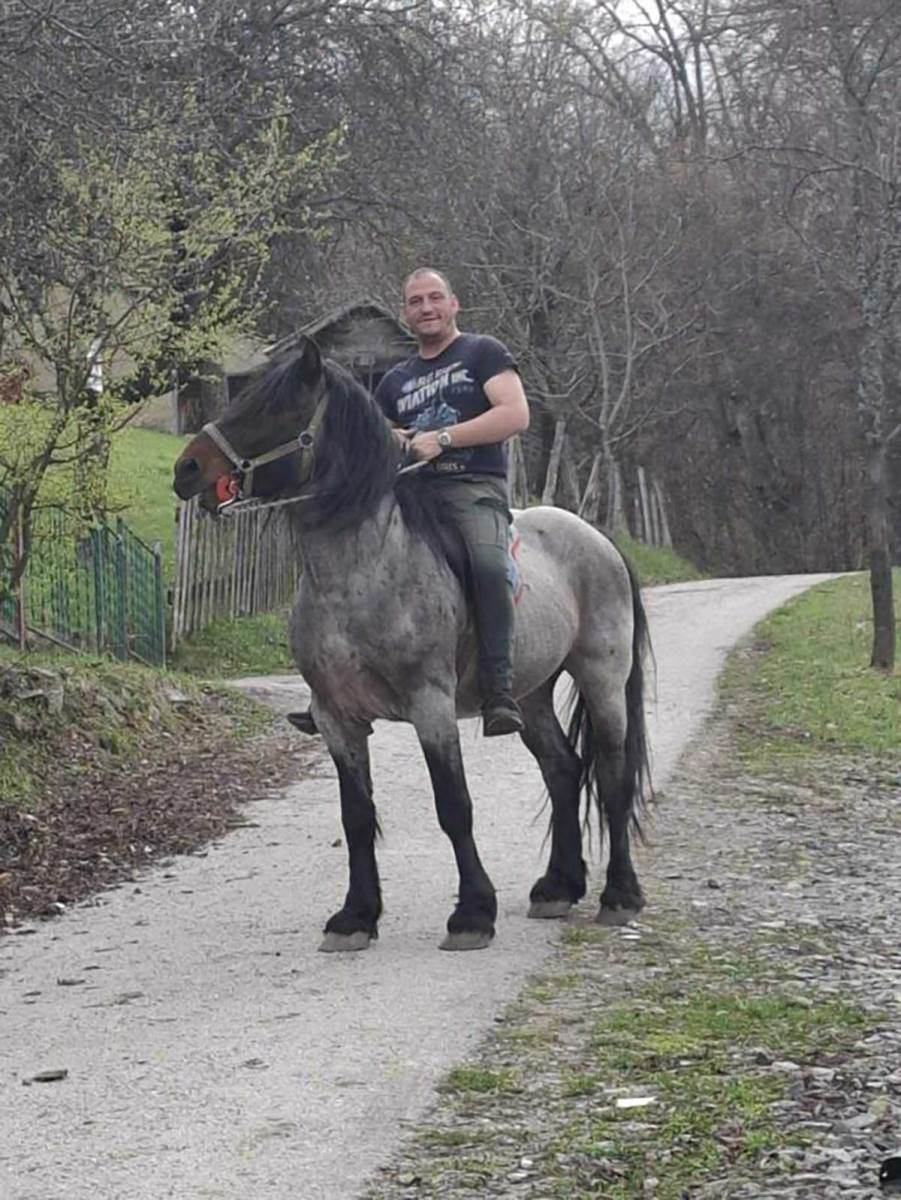 ubistvo konja na zlatiboru (6).jpg