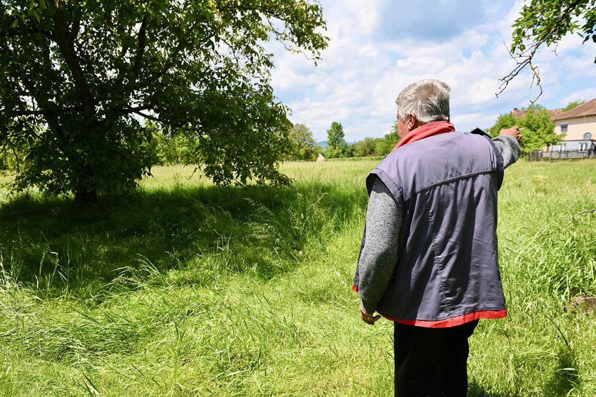 Dobrivoje Topalović kuća (10).jpg