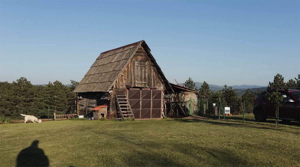 Vladimir i Jelena Dašić (5).jpg