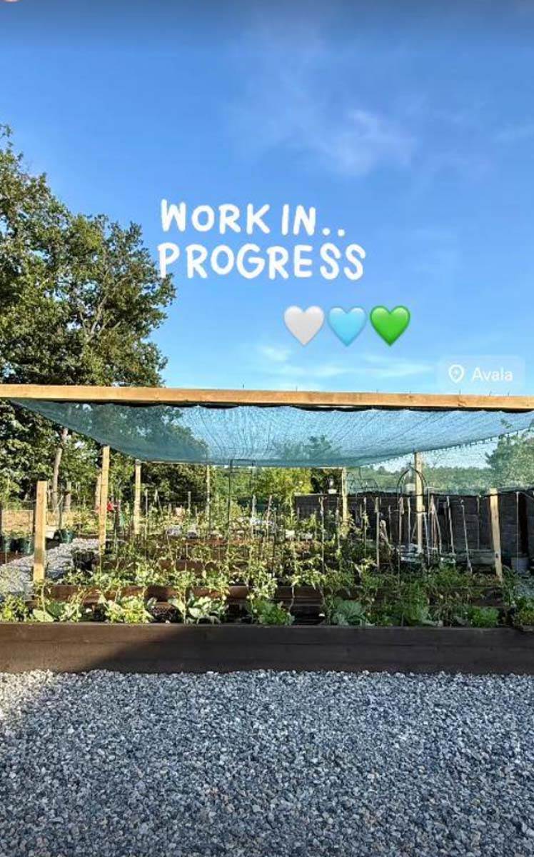 Sonja Lazetić bašta 2.jpg