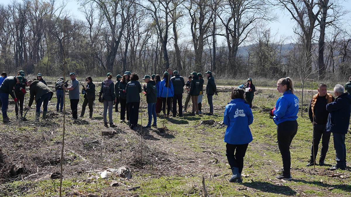 250321 Mladen Nikolic (155) (1) copy.jpg