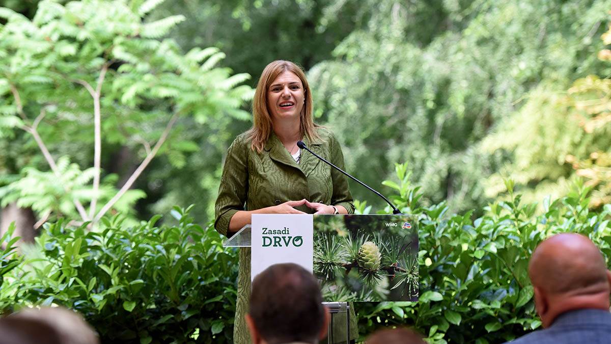 Ana Aleksić copy.jpg