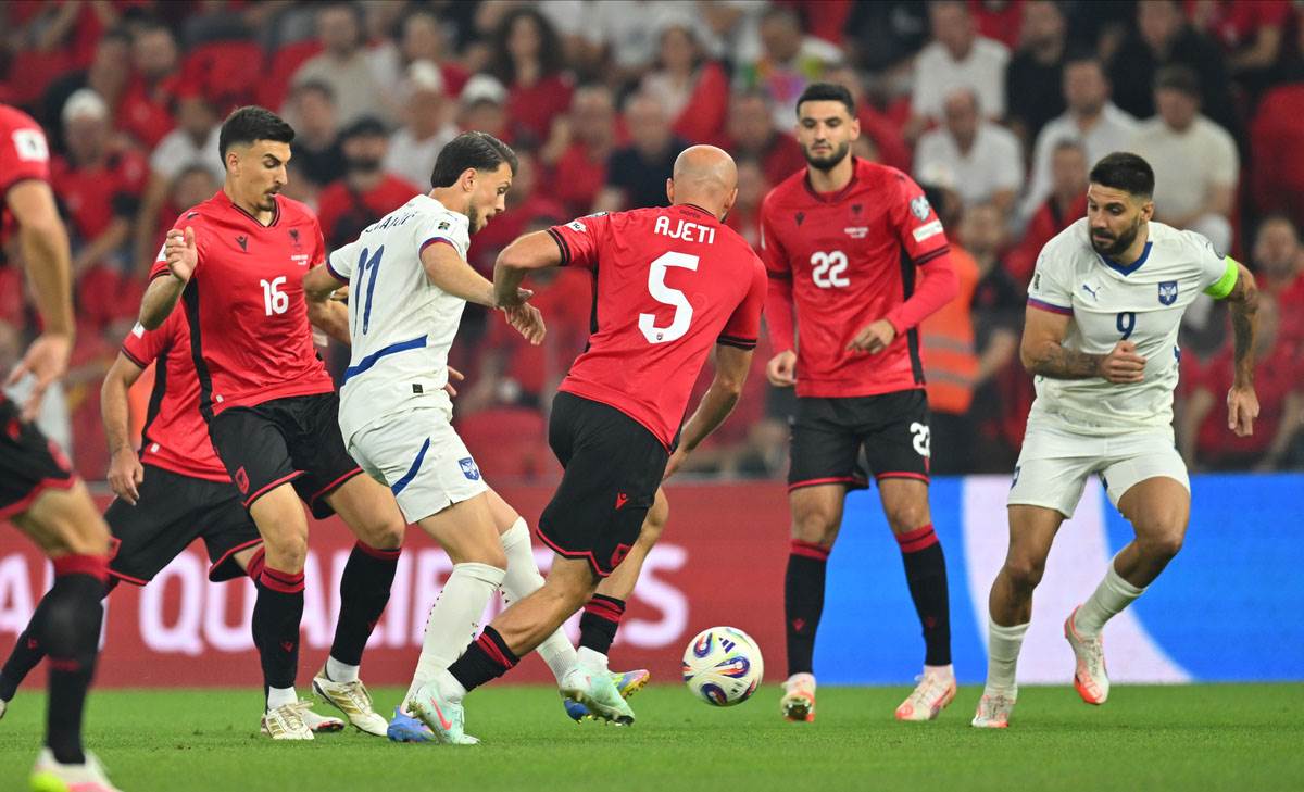 Dragan Stojković Piksi posle Albanija - Srbija