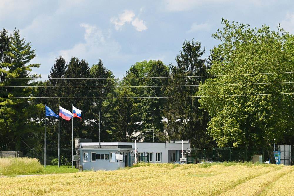 Naziv galerije Željko Ražnatović Arkan rodno mesto (2).jpg