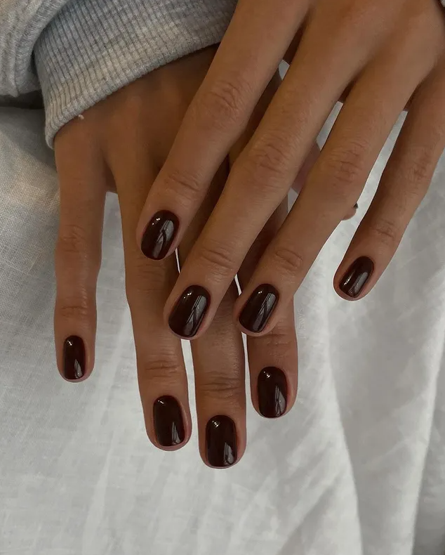 Boja noktiju za jesen i zimu koja izgleda skupo