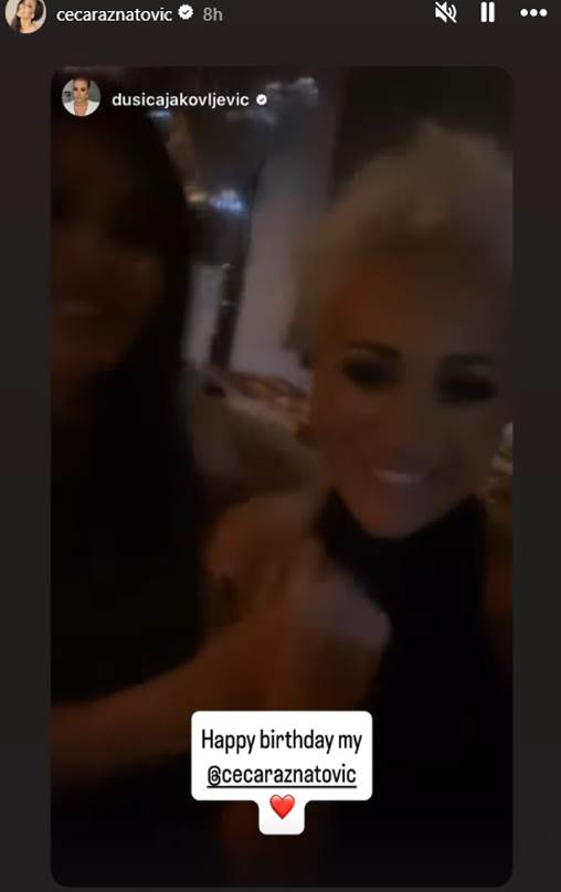 Dusica Jakovljevic Ceca.png