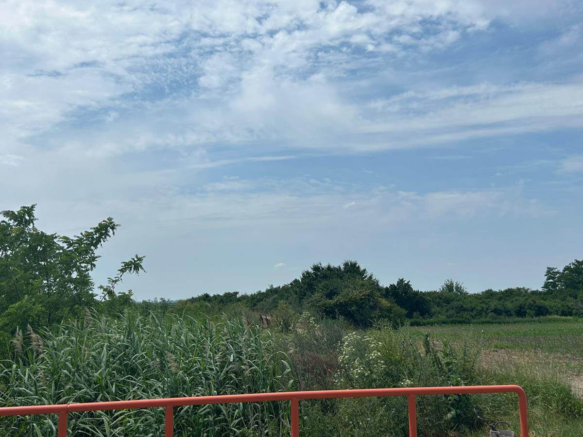 ubistvo kod Odžaka (3).jpg