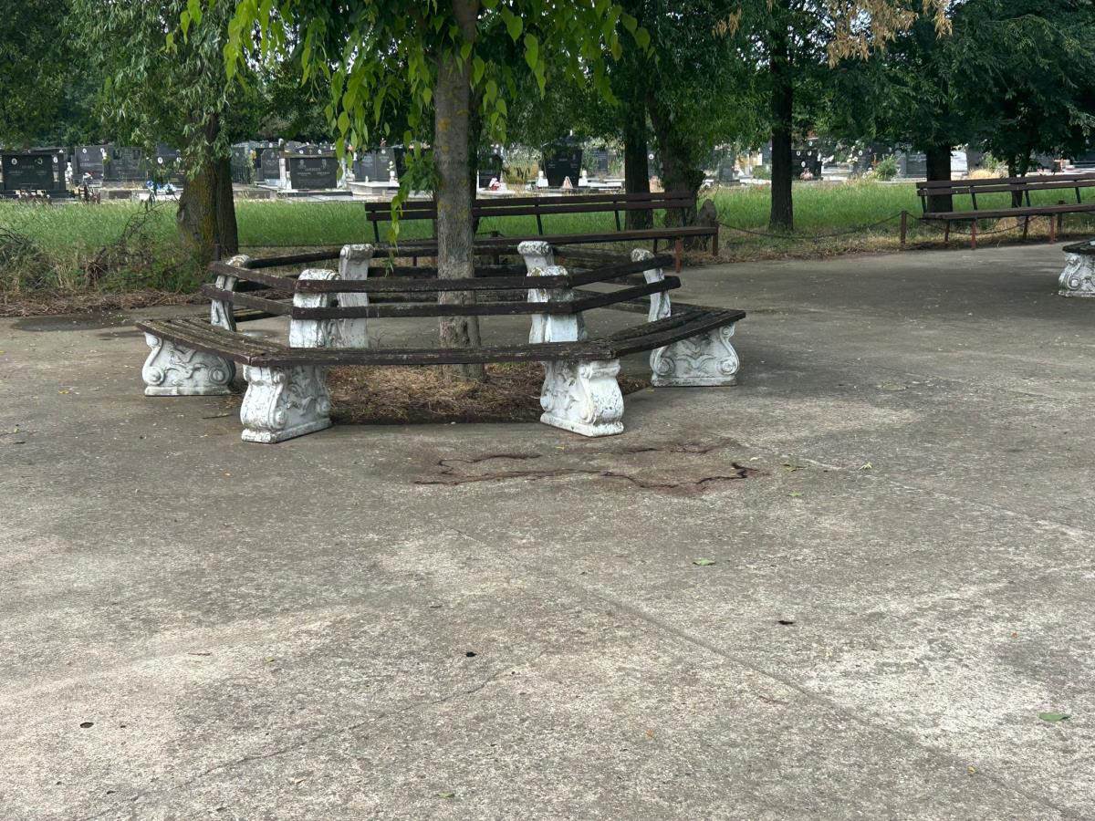 ubistvo kod Odžaka (6).jpg