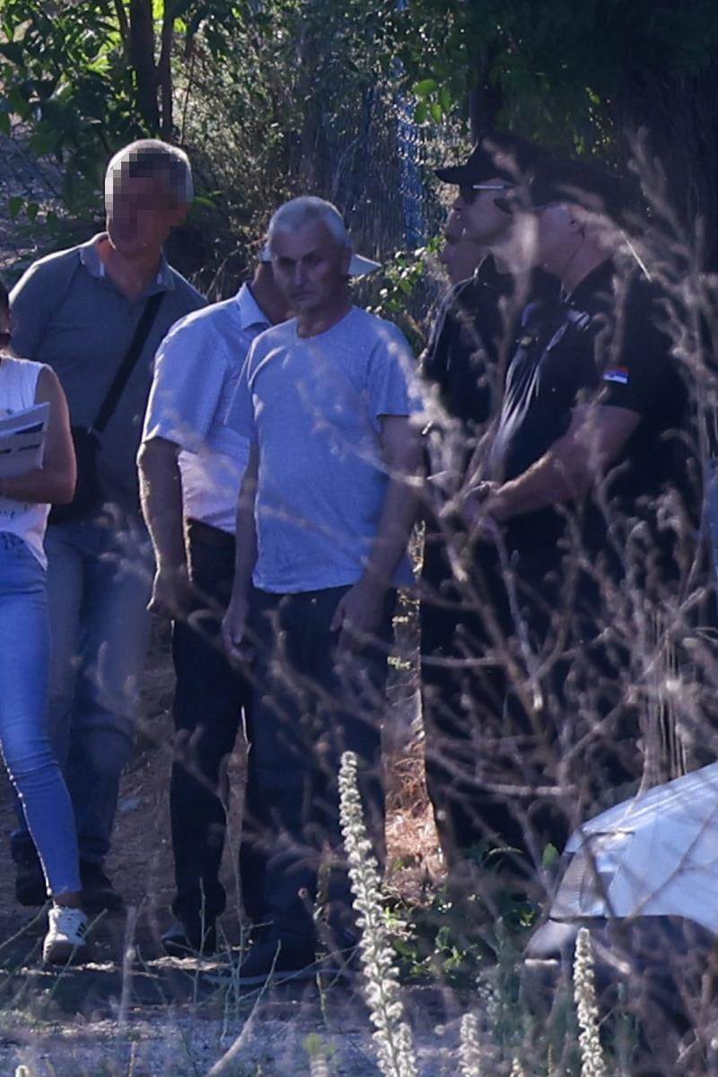 Rekonstrukcija nestanka Danke Ilić