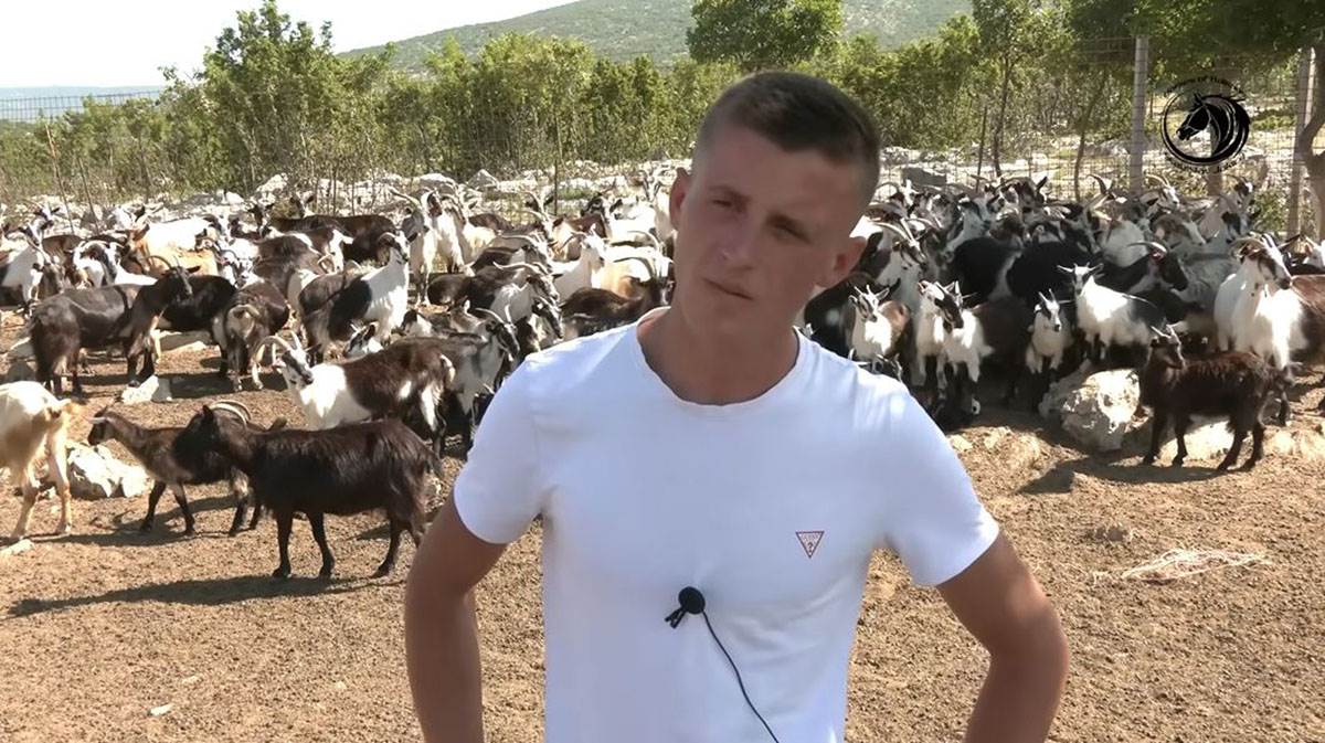 Mladić čuva 1000 koza (7).jpg