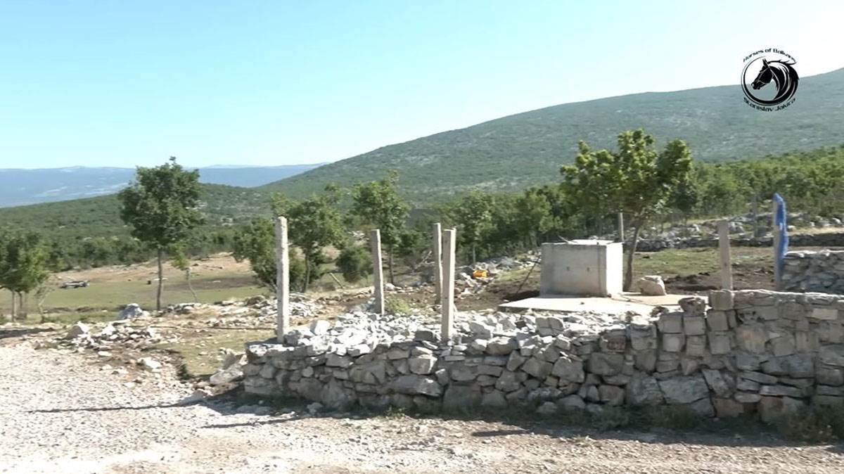 Mladić čuva 1000 koza (8).jpg