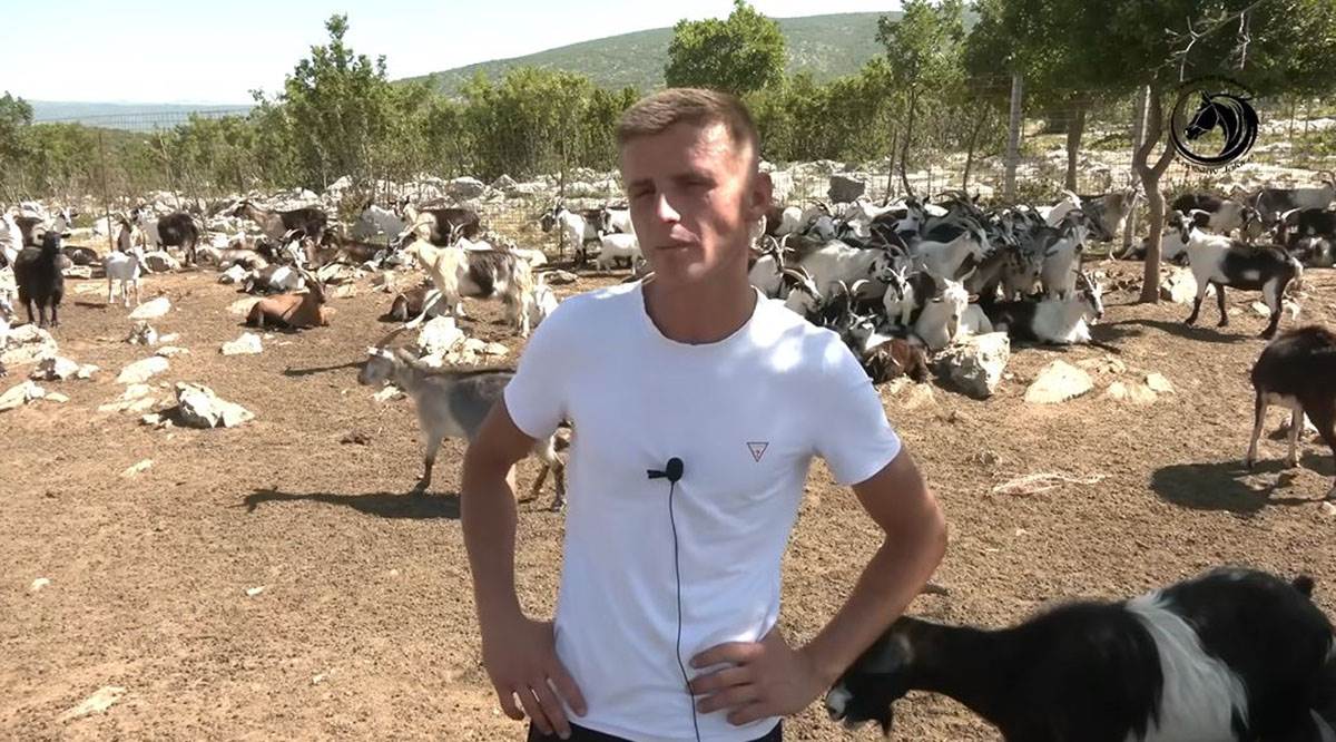 Mladić čuva 1000 koza (11).jpg