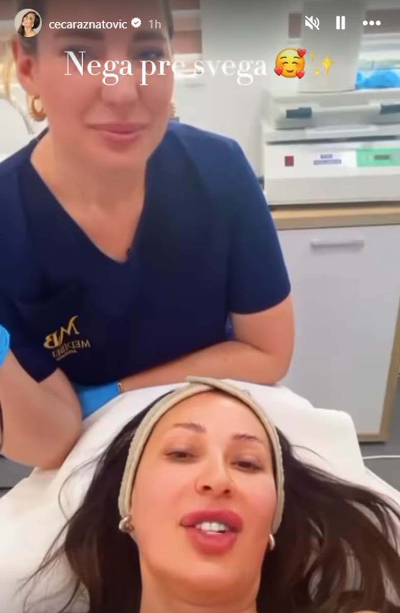 Ceca Ražnatović 1.jpg