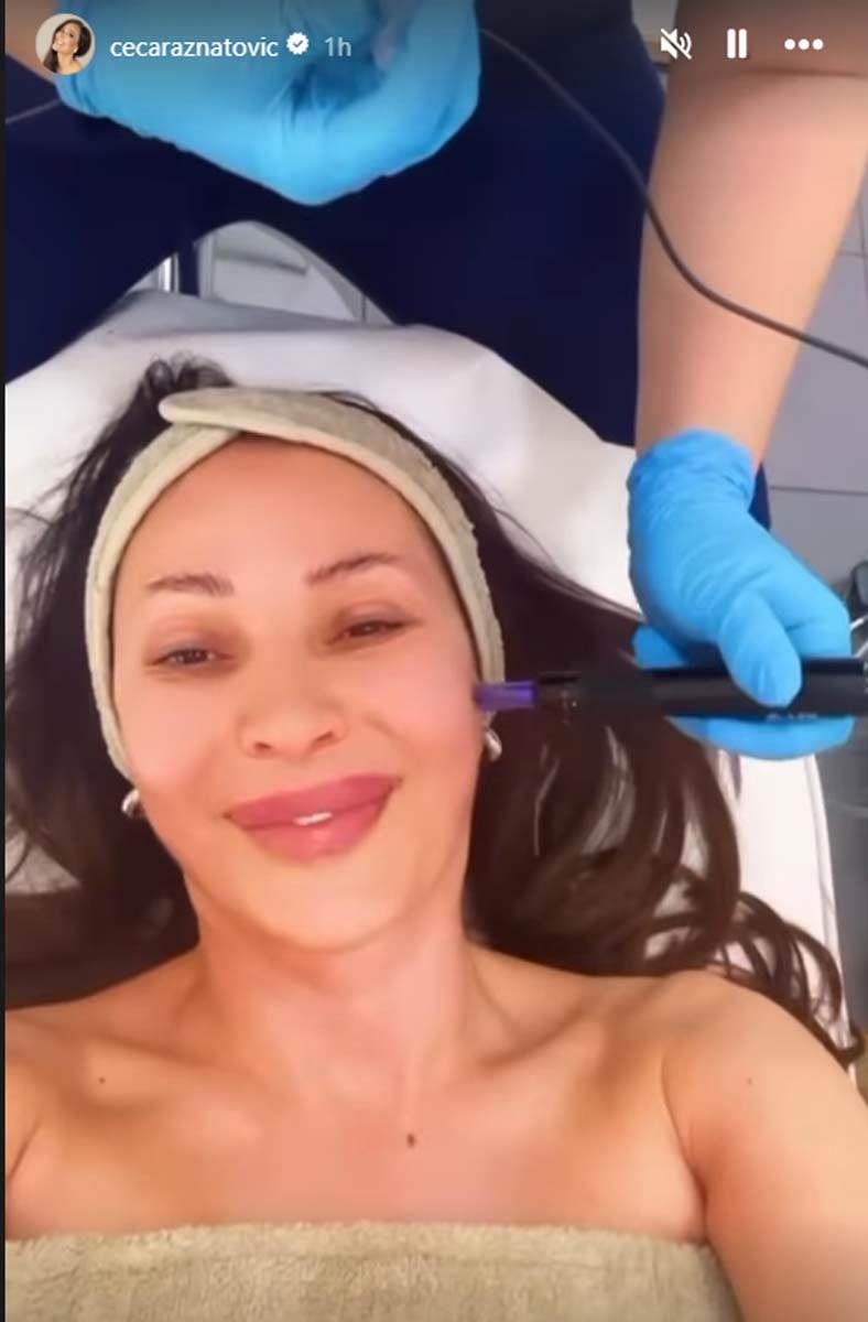 Ceca Ražnatović 3.jpg