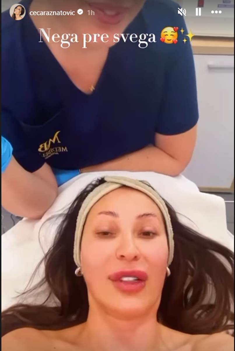 Ceca Ražnatović 4.jpg