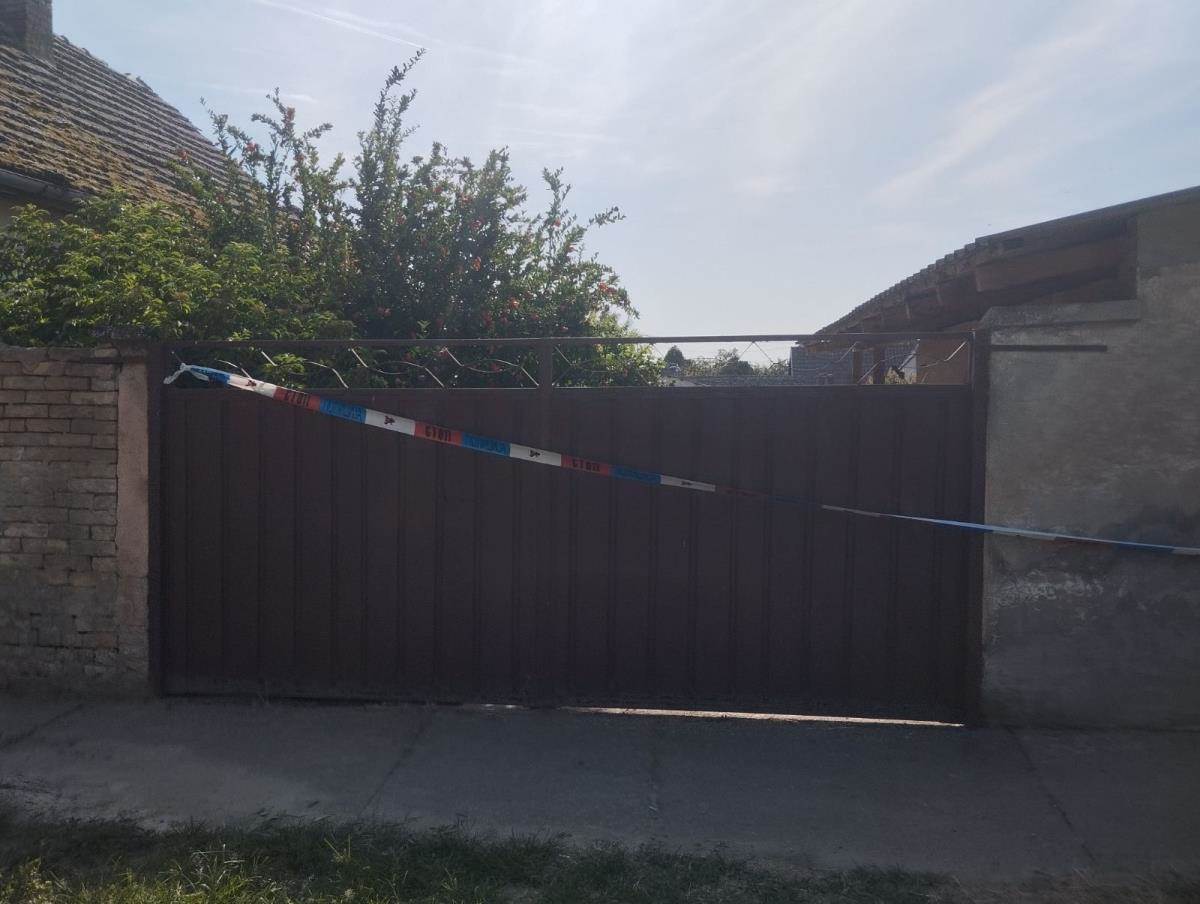 Ubistvo u Bečeju  (2).jpeg