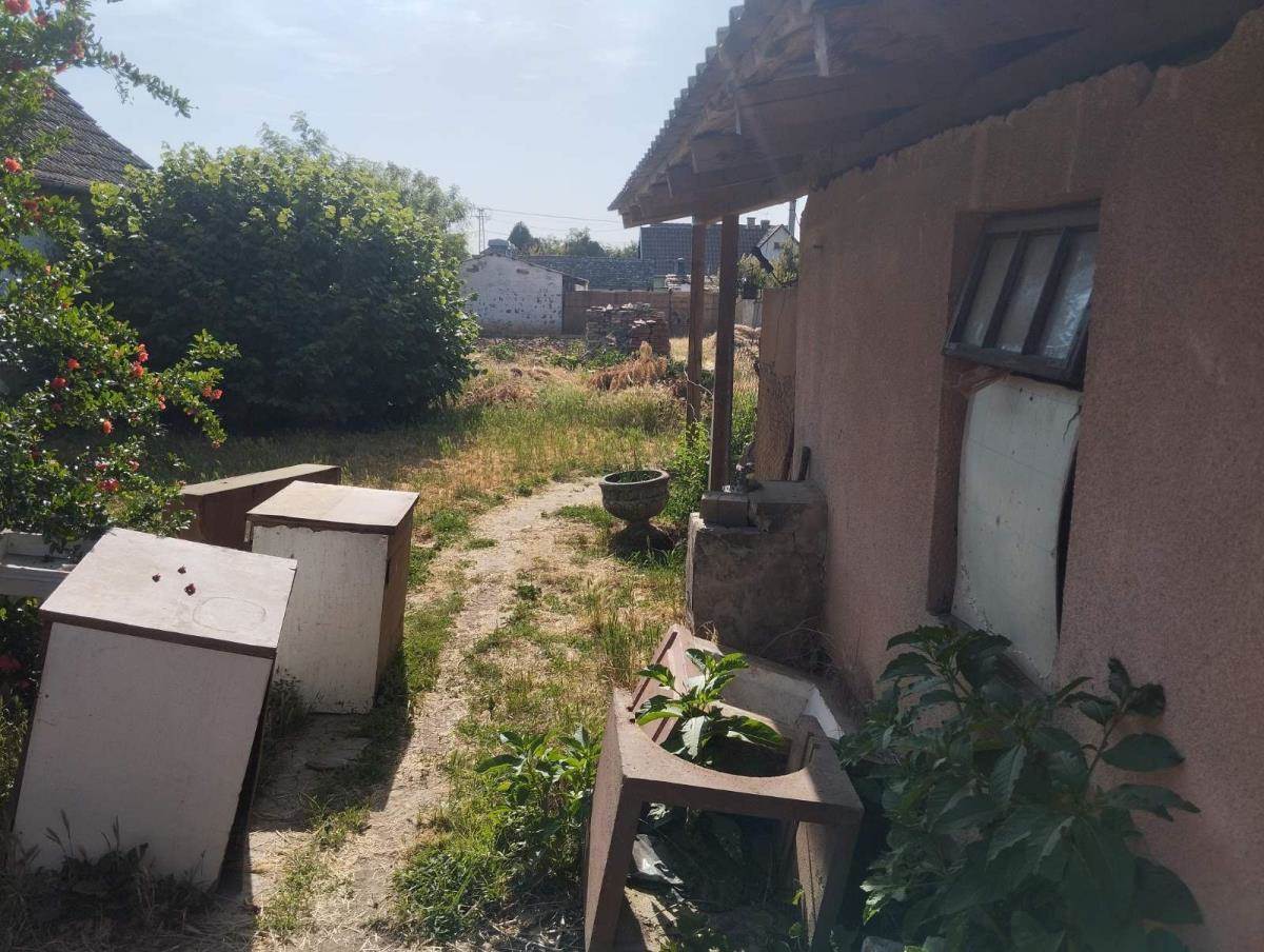 Ubistvo u Bečeju  (4).jpeg