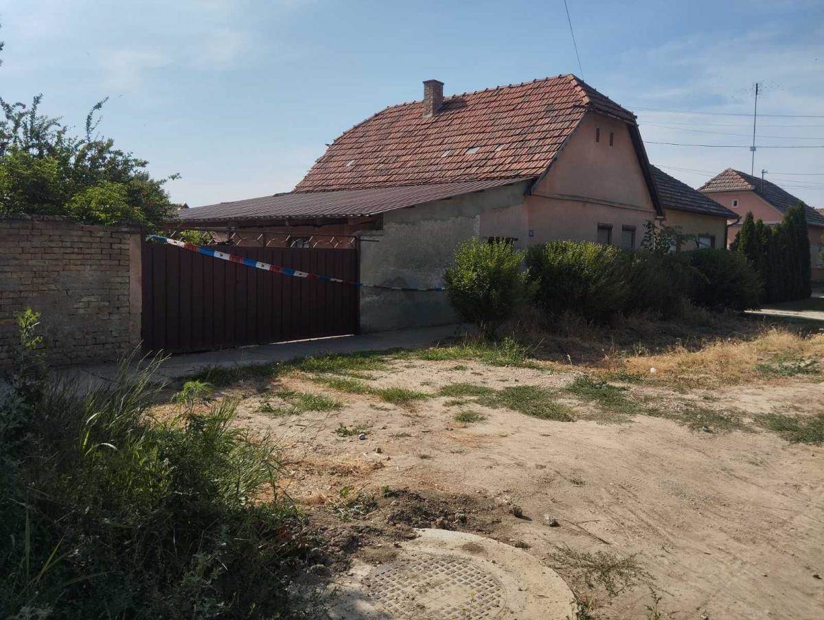 Ubistvo u Bečeju  (1).jpeg