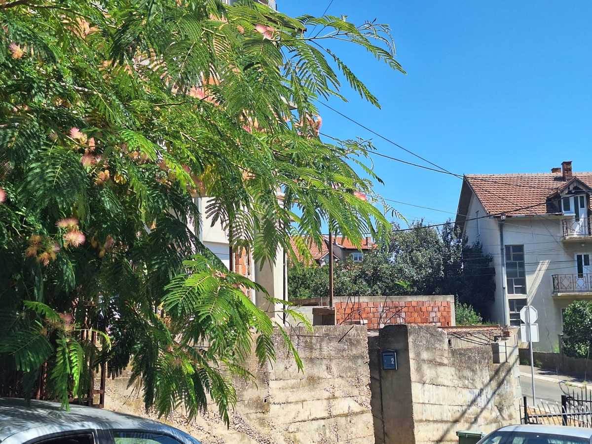 Ubistvo žene u Kaluđerici