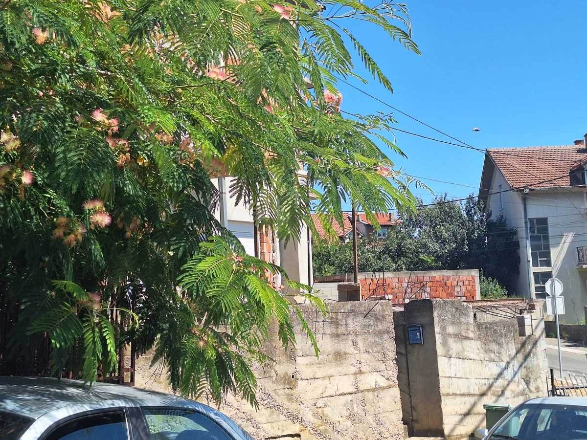 Ubistvo žene u Kaluđerici