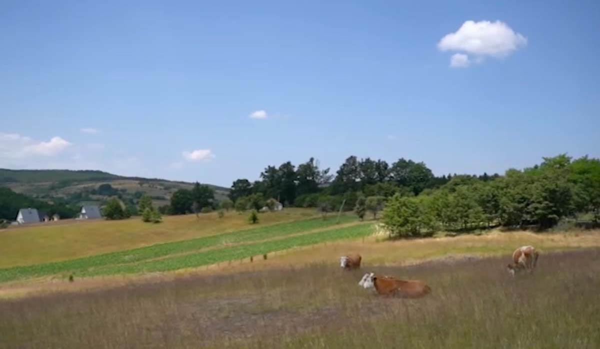 Tometino polje na Maljenu 3.jpg