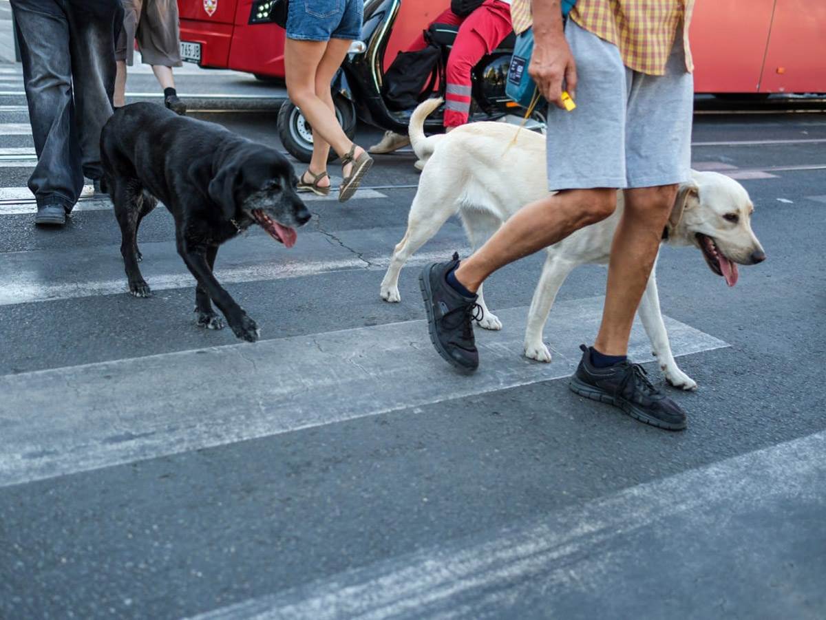 Blokada na Slaviji (5).jpg