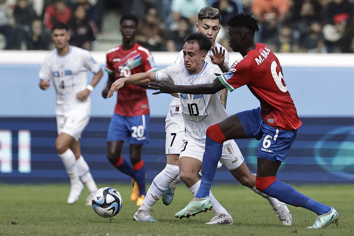 Mahmudu Bajo (2).jpg