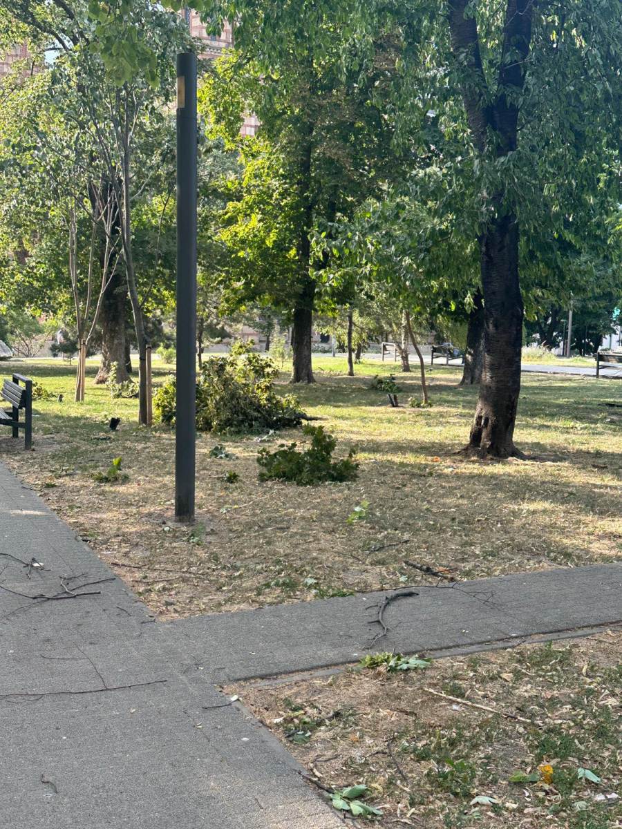 Nevreme u Beogradu (3).jpg