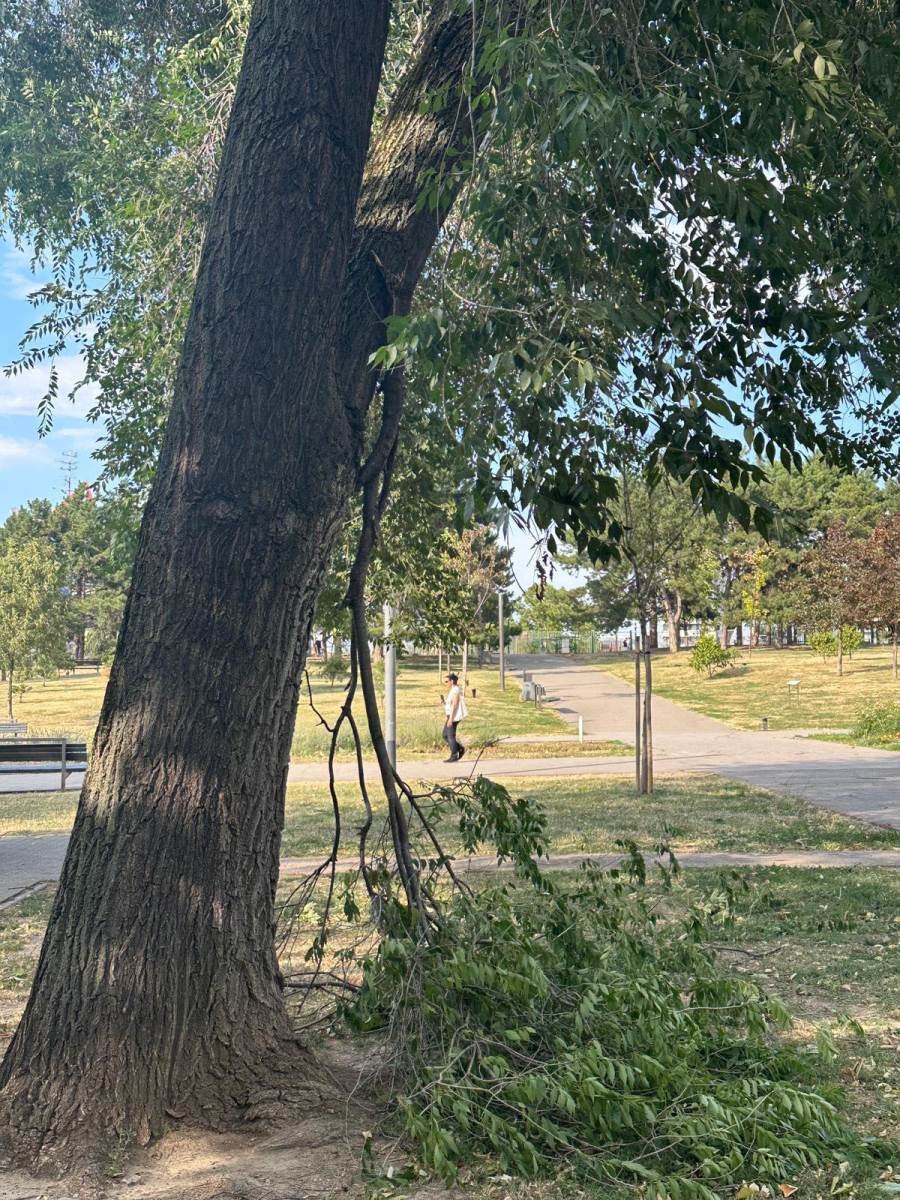 Nevreme u Beogradu (4).jpg