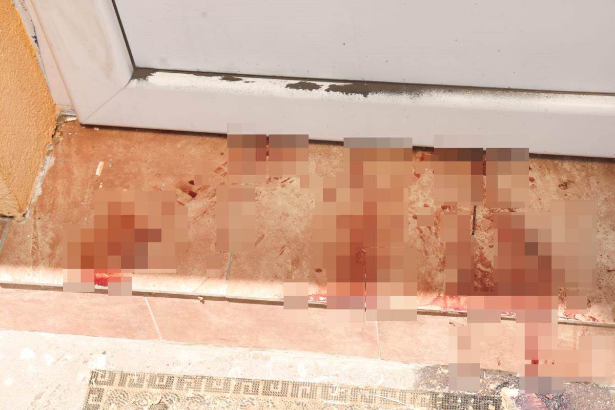 Ranjeni Pančevac (3).jpg