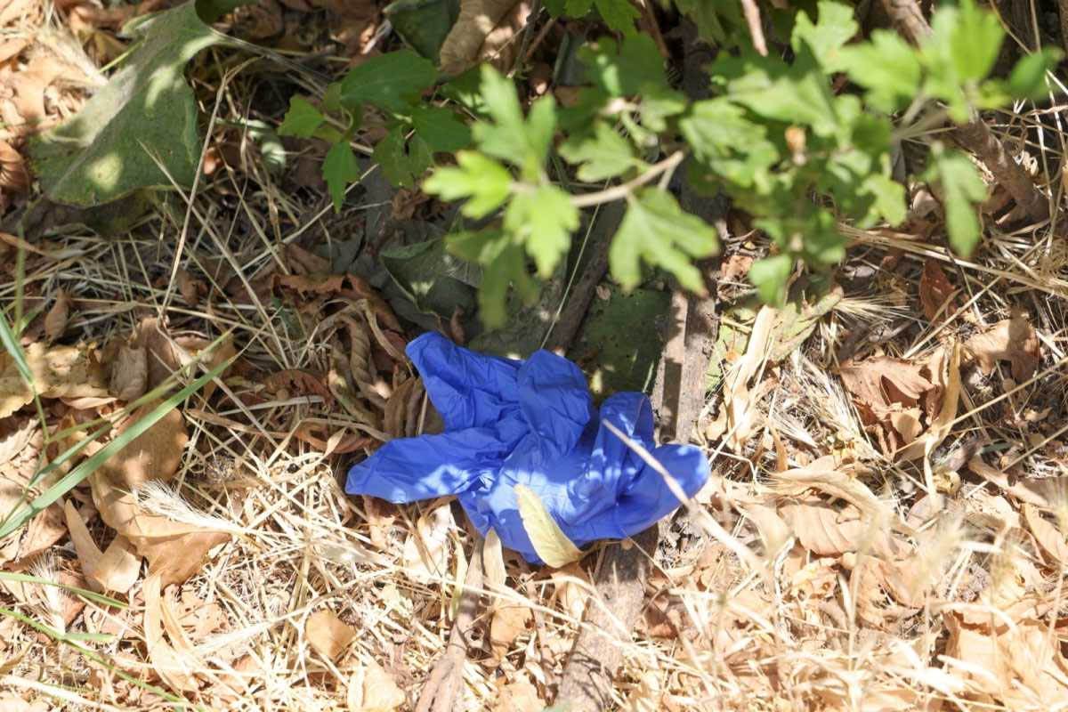 Ranjeni Pančevac (5).jpg