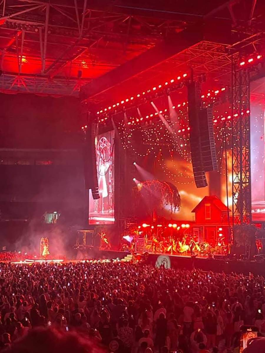 Koncert Lana Del Rej London (3).jpg