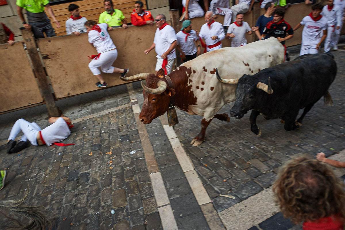 Trka bikova u Španiji (1).jpg