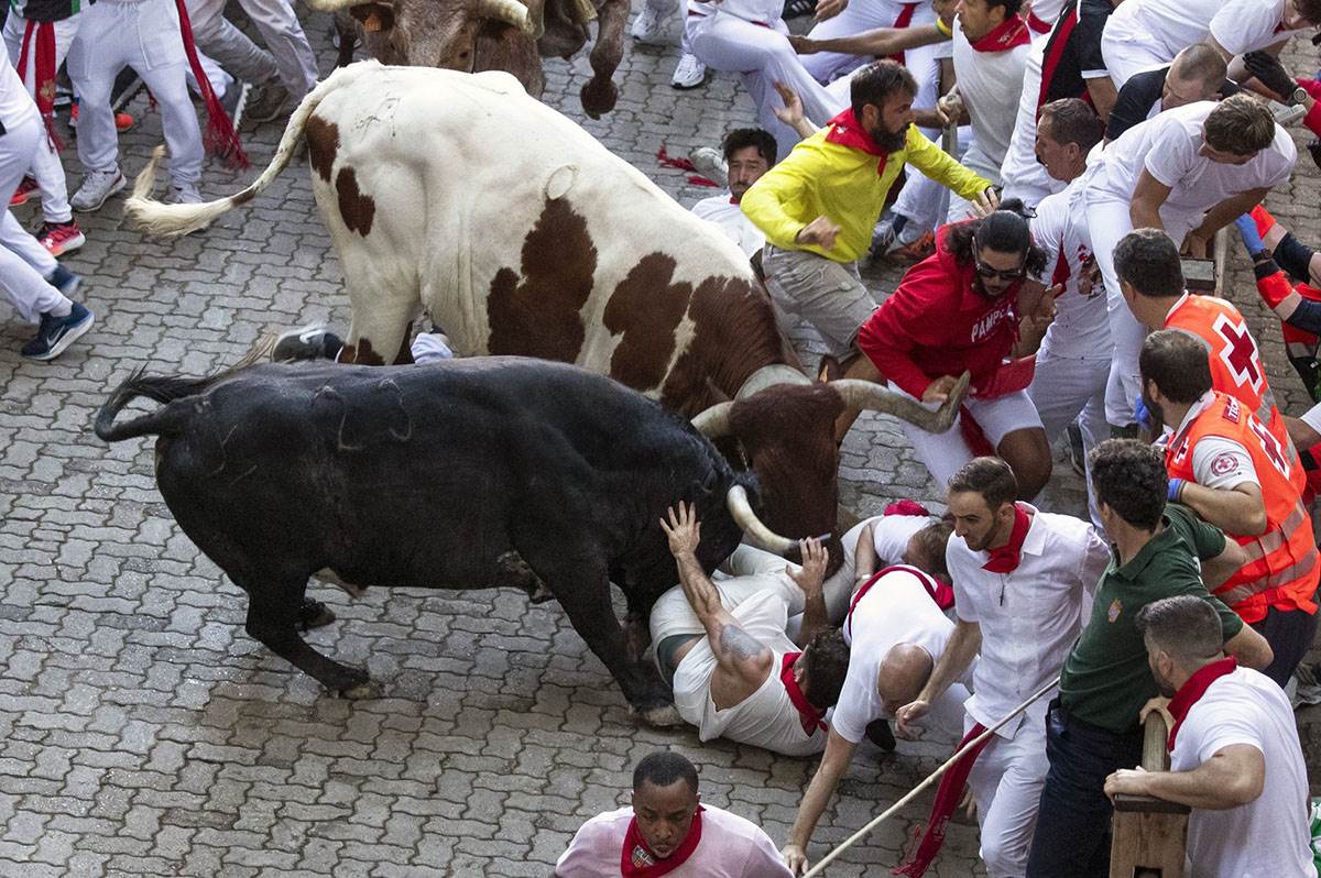 Trka bikova u Španiji (2).jpg