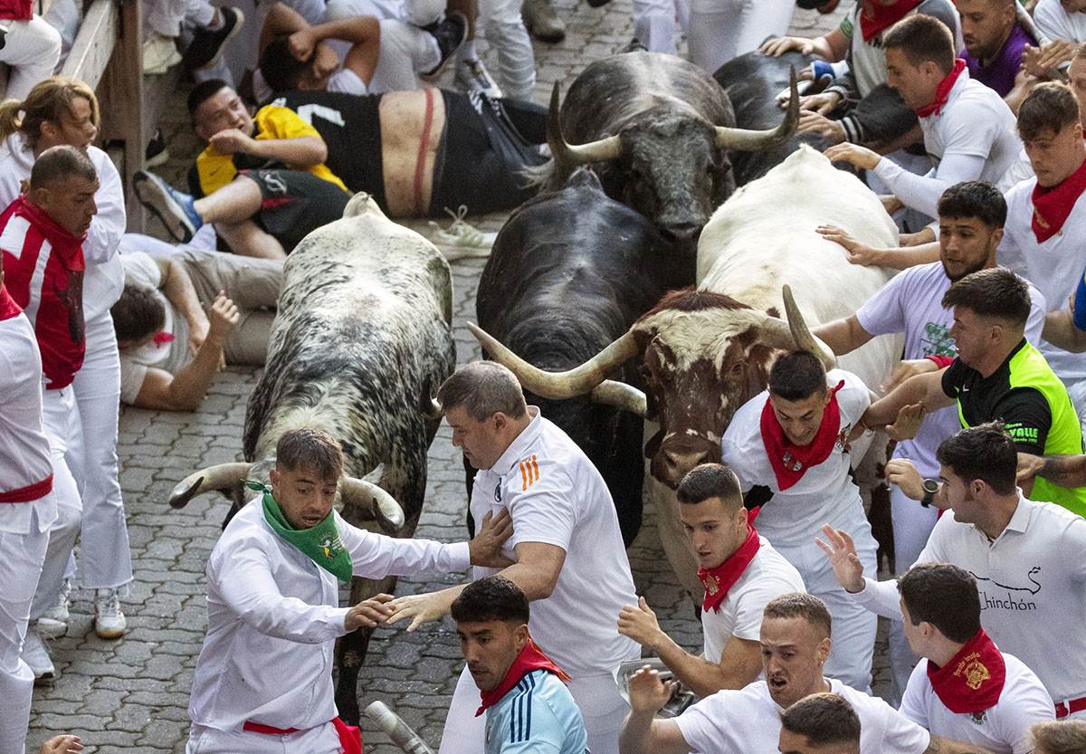 Trka bikova u Španiji (3).jpg