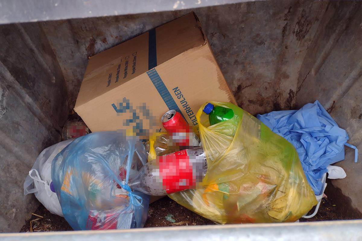 majka bacila bebu u kontejner kod Doljevca (3).jpg