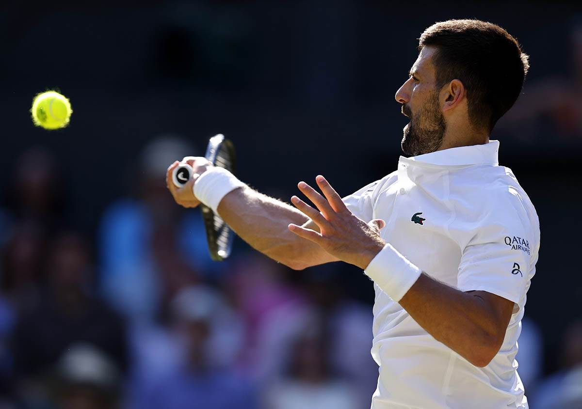 Novak Đoković - Janik Siner (5).jpg