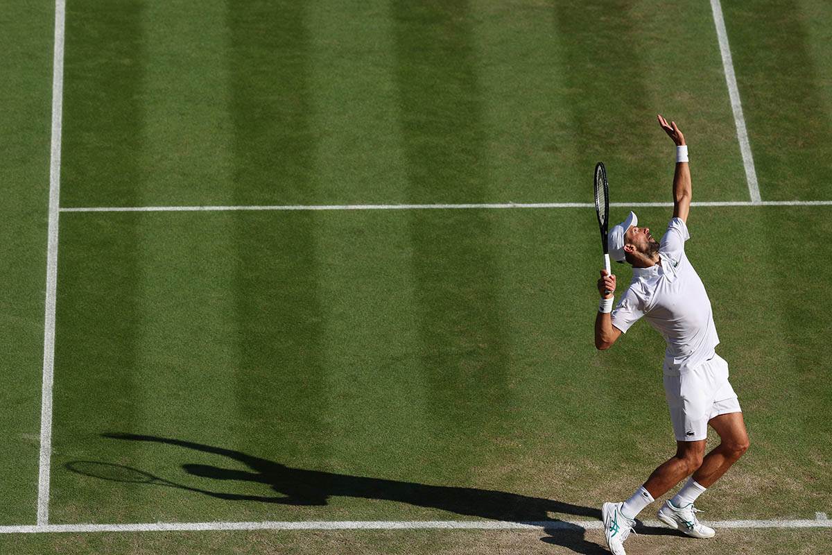 Novak Đoković - Janik Siner (18).jpg