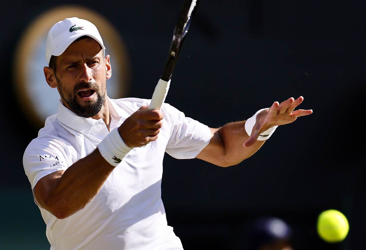 Novak Đoković - Janik Siner (2).jpg