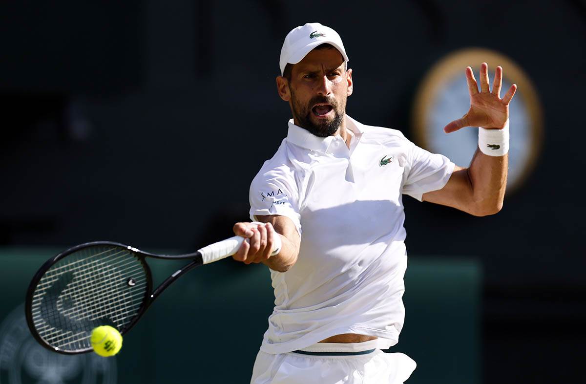 Novak Đoković - Janik Siner (3).jpg