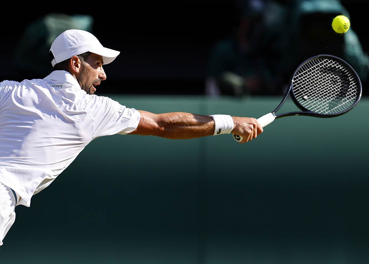 Novak Đoković - Janik Siner (4).jpg