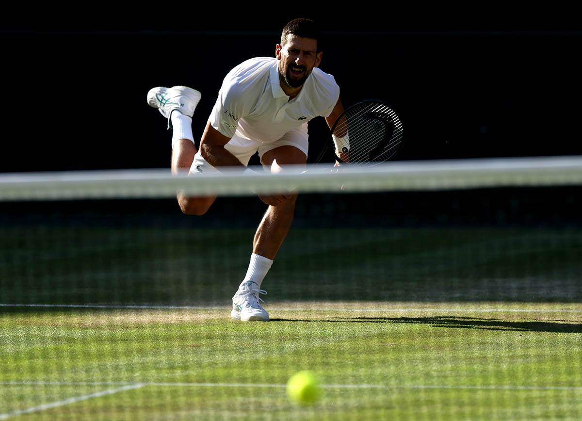 Novak Đoković - Janik Siner  (2).jpg