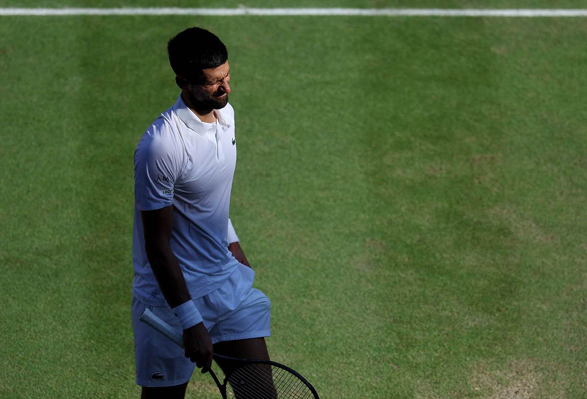 Novak Đoković - Janik Siner  (5).jpg