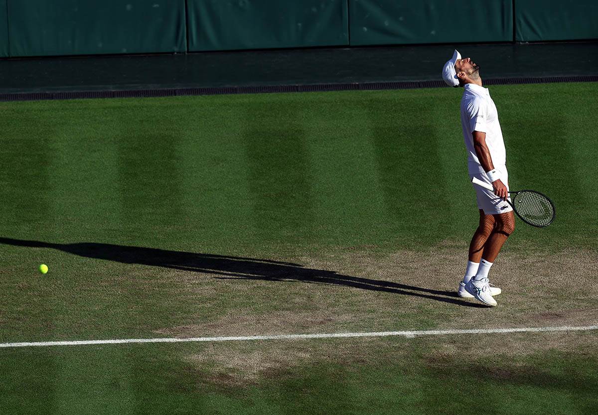 Novak Đoković - Janik Siner.jpg