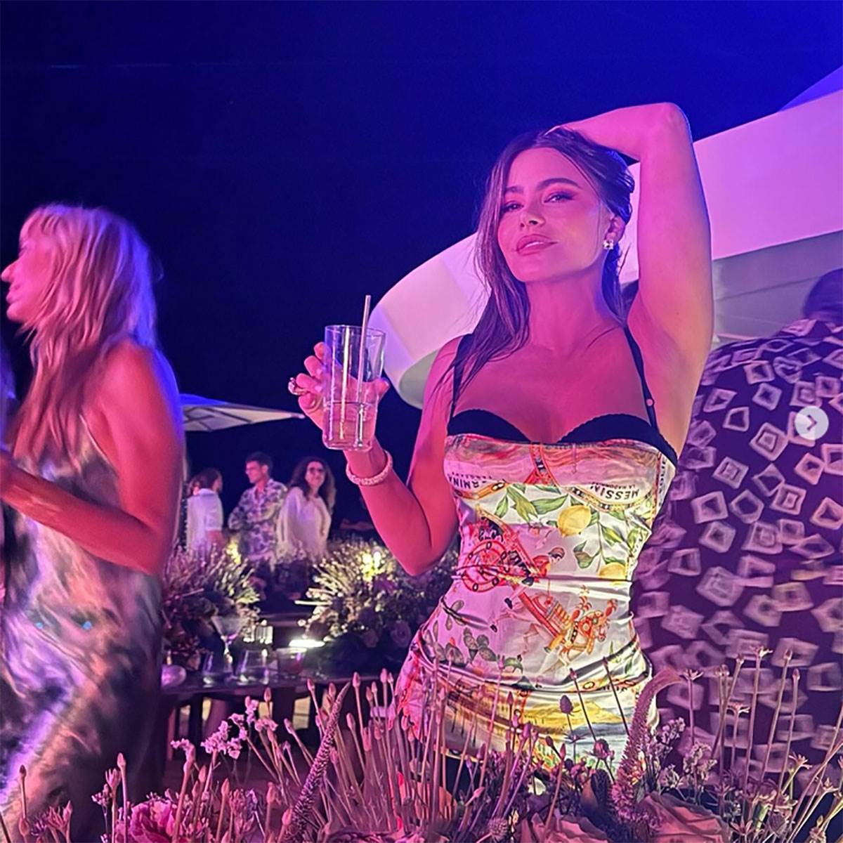 Sofija Vergara danas (2).jpg